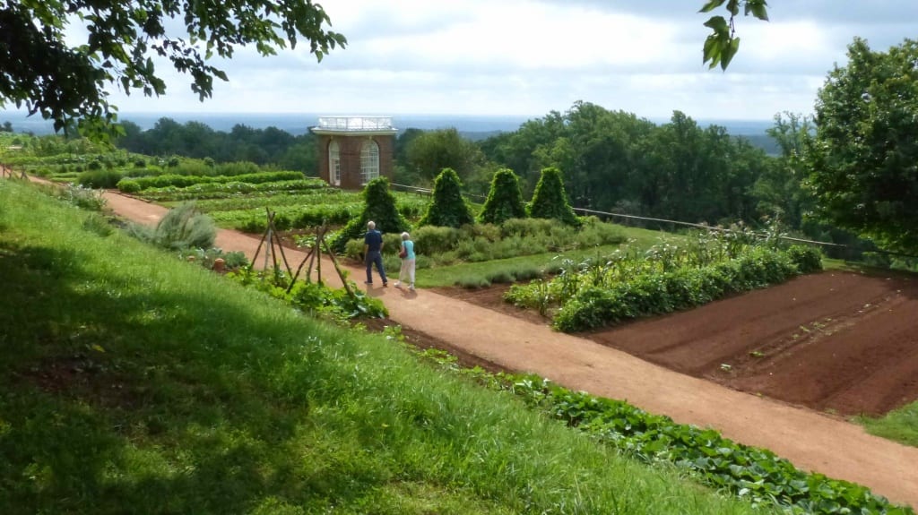 The Fruitery - an orchard of exotic trees - at Thomas Jefferson's Monticello. | Orchard People