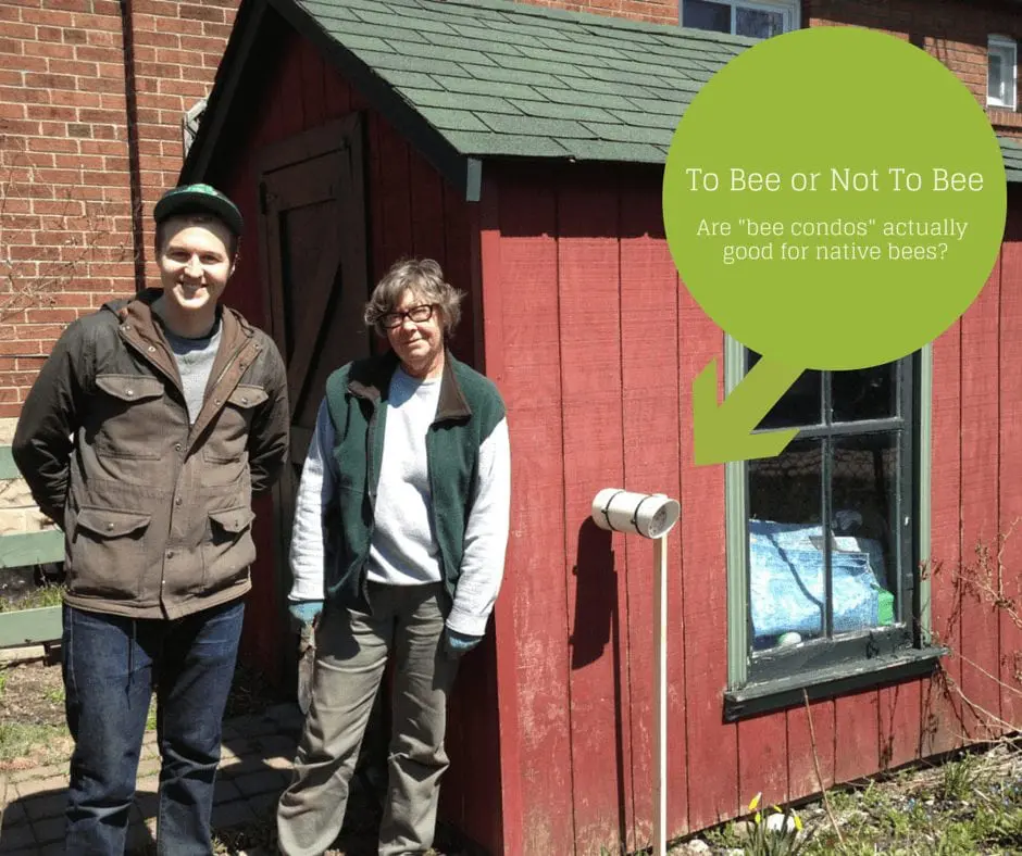 Two people standing next to a native bee condo. One of them is researcher Scott MacIvor who has explored whether bee hotels are safe for native bees.