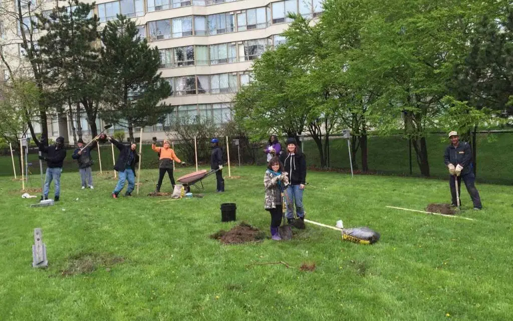 Volunteers plant bare root trees | Orchard People