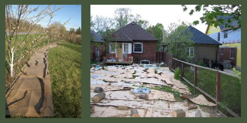 Sheet mulching in a food forest in New York state on the left. The photo on the right is cardboard sheet mulch in an urban backyard. 