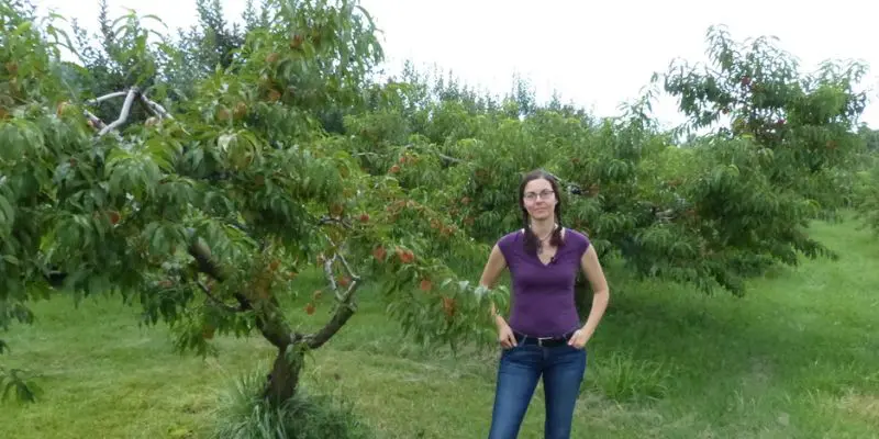 Susan Poizner in the peach orchards at Monticello which was the home of Thomas Jefferson. Today they still grow heirloom peach varieties on the site. 