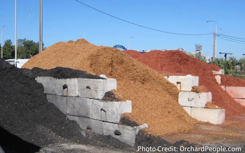 Huge piles of commercial bark mulch. The pile to the left is black. The middle pile is natural cedar wood mulch. The pile to the right is red died mulch. Best wood mulch for fruit trees.