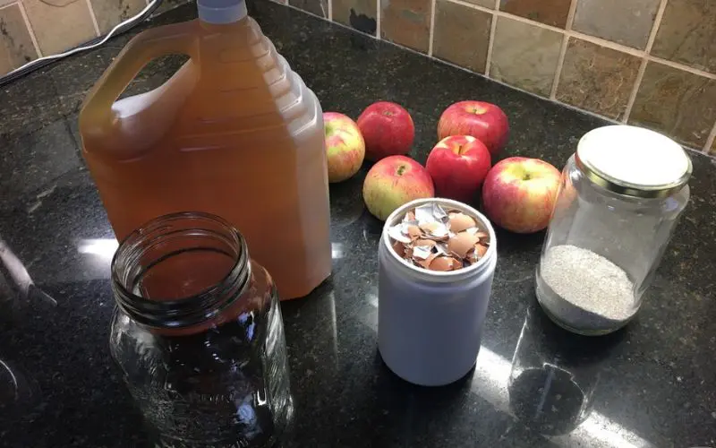 A bottle of organic apple cider vinegar with apples and eggshells. DIY Fruit Tree Fertilizer, Homemade fruit tree fertilizer recipe. 