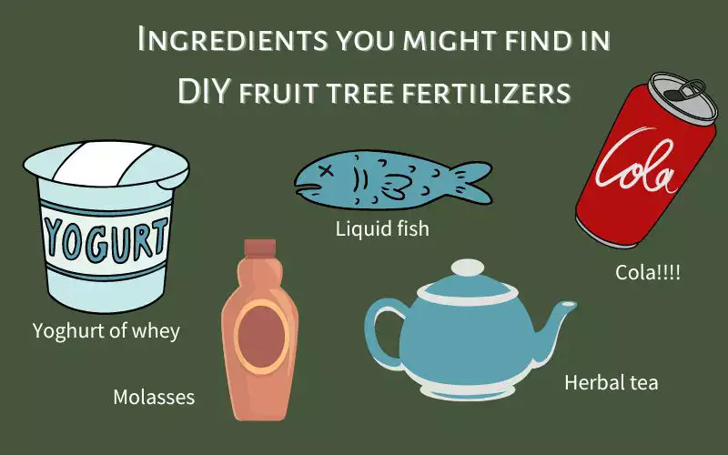 Graphic illustrating some of the ingredients in DIY fruit tree fertilizers including yoghurt, liquid fish, cola, herbal tea and molasses. Homemade fruit tree fertilizer, DIY fruit tree fertilizer, fruit tree fertilizer recipe. 