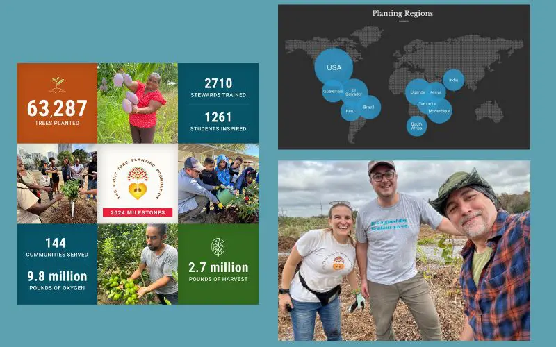 Best Fruit Trees to Grow