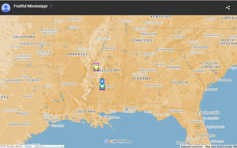 Best Fruit Trees to Grow