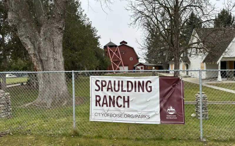 Preparing soil for fruit trees. A banner of Spaulding Ranch hung on a chain link fence.