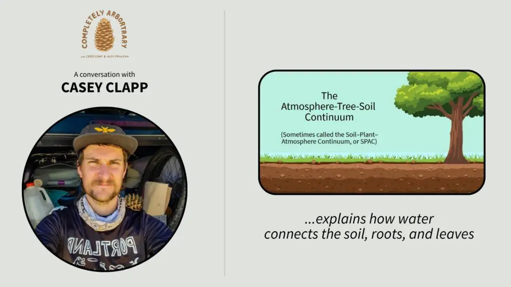 Watering and feeding fruit trees. Casey Clapp from Completely Arbortrary explains the "Atmosphere-Tree-Soil Continnum," or how water connects the soil with the roots and leaves of trees. Logo and Photo credit: Casey Clapp. Illustration credit: Orchard People.