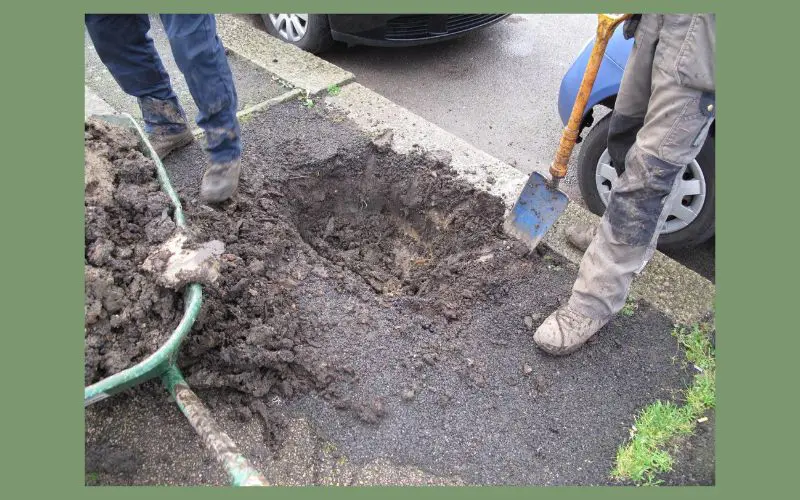 Vertical mulching for fruit trees. If soil is difficult to dig, roots may also struggle to grow through it. Compaction reduces the air spaces that healthy roots need. Photo credit: Bartlett Tree Experts Research Lab