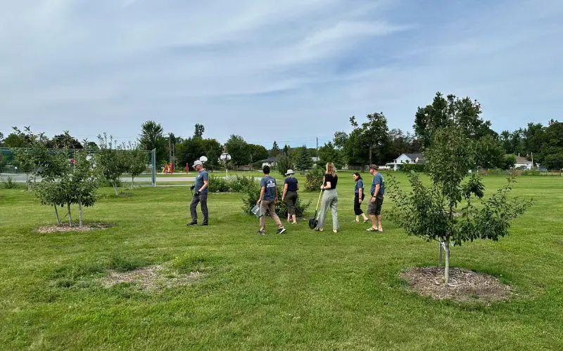 Why Fruit Trees Struggle - and What Helps Them Thrive. Community orchards grow through ongoing care, observation, and shared learning. The people tending the trees are part of the story, too.