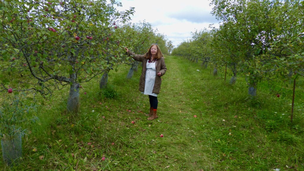 Gaye Trombey of Avalon Organic Orchard in Ontario which specializes in disease resistant apples. Apple varieties. 