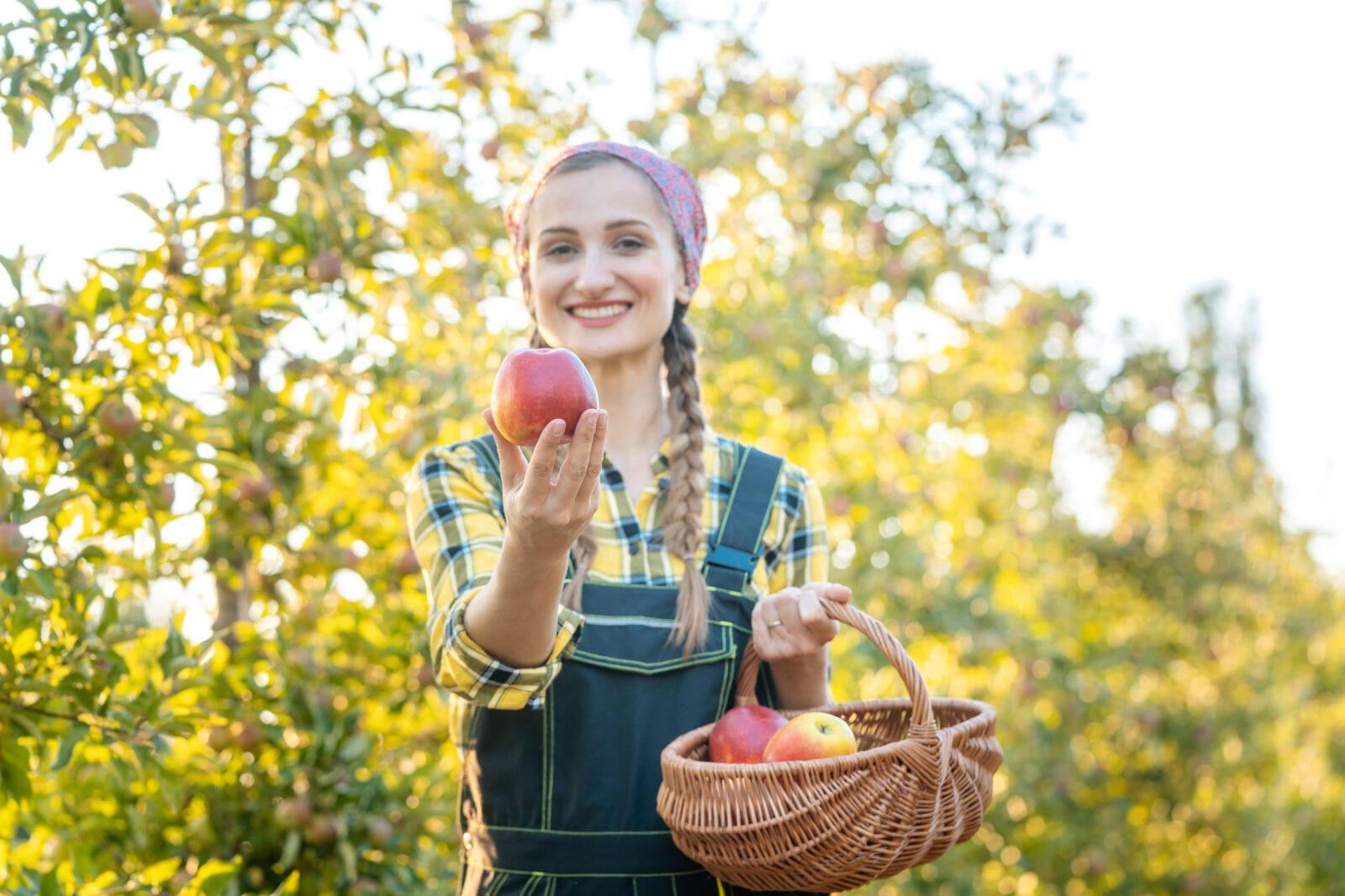 How to Store Apples: Expert Tips for Keeping Them Crisp